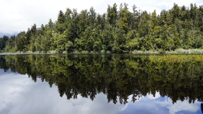 Lake Matheson Reflection