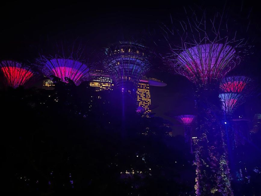 Tag 46 & 47 - Singapur - Hop on hop off (Little India - Chinatown - Botanic Garden - Night-Tour - Lasershow)