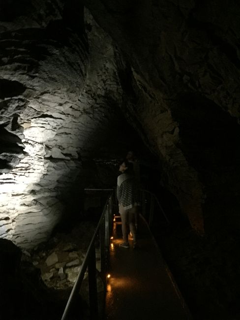 Rotorua/Waitomo Caves