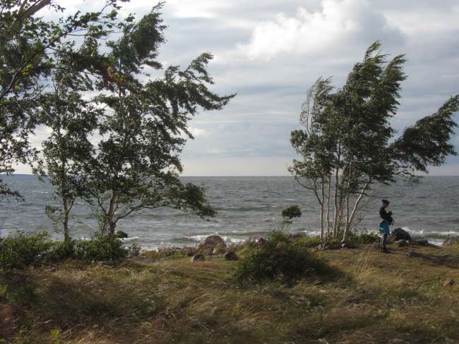 Lahemaa National Park - Estonian Baltic Sea