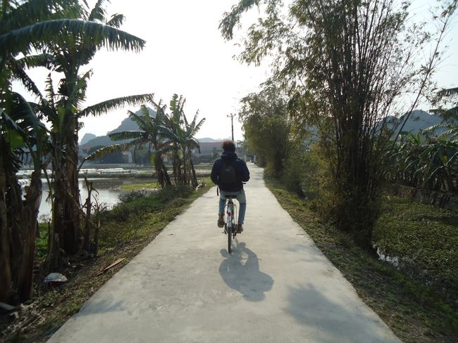 Ninh Binh - Radtour durch die Reisfelder