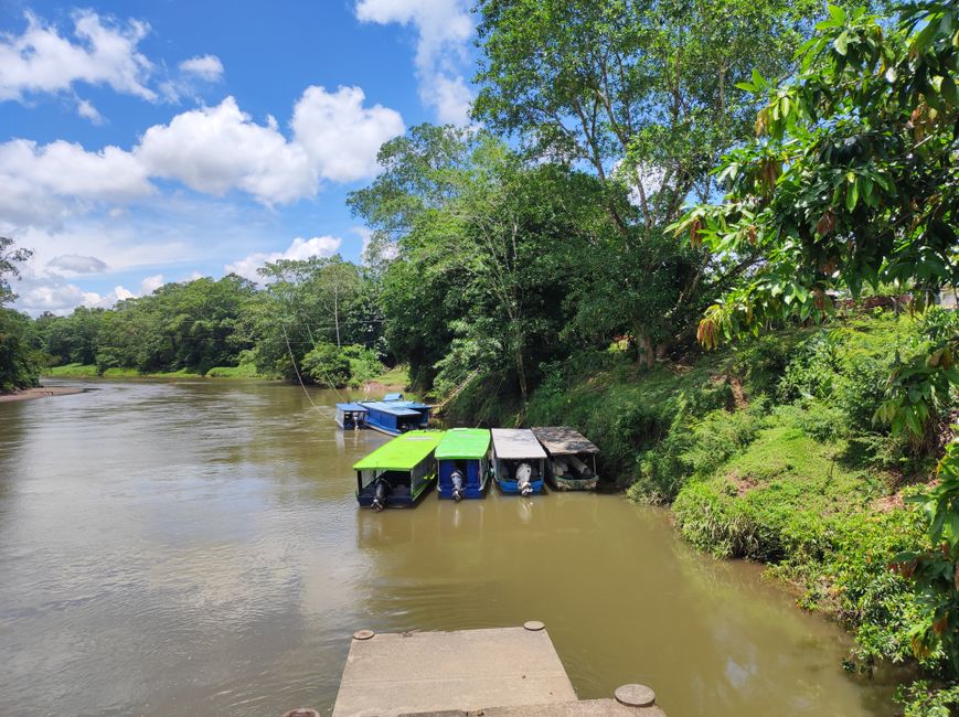 Bootsfahrt auf dem Sarapiqui River (25.4.22)