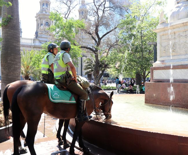 Polizeipferde der Carabinieros auf der Plaza de Armas dürfen aus dem Brunnen saufen