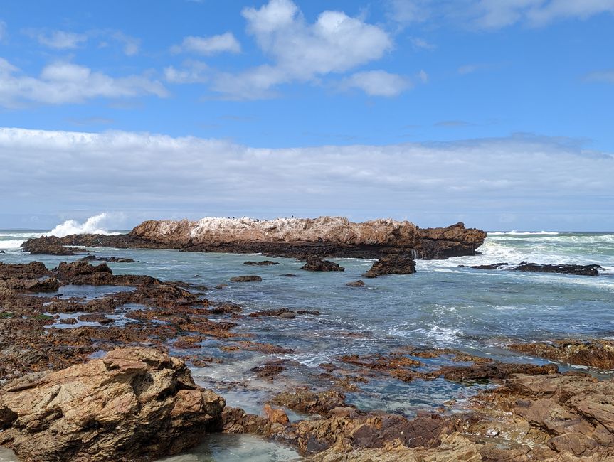 Hermanus / Cliff Path und die eigentliche "Walhauptstadt" Gansbaai