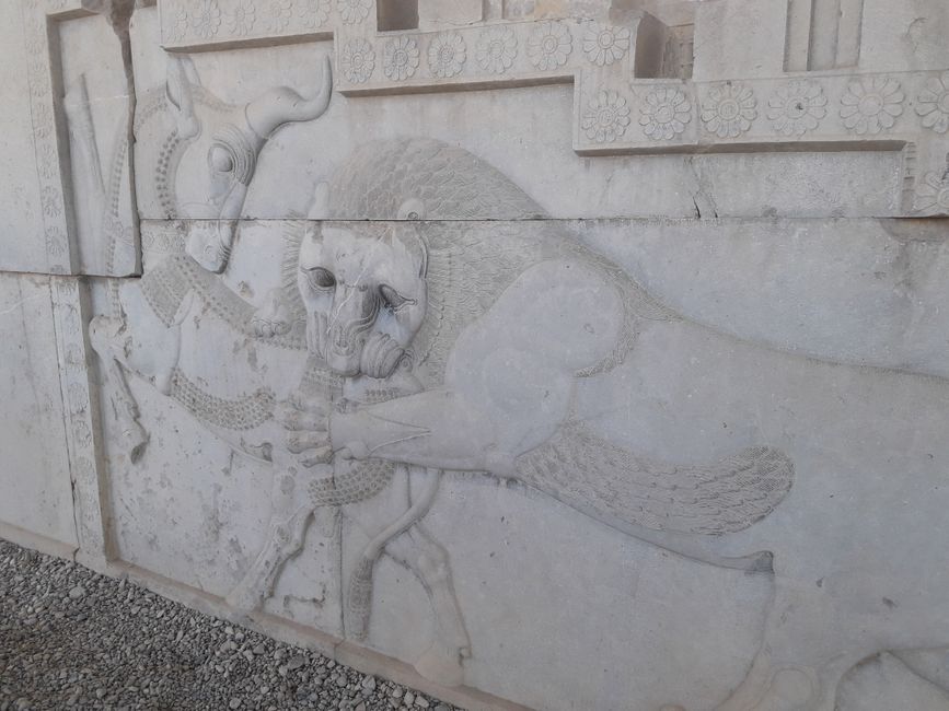 Persepolis VIII
