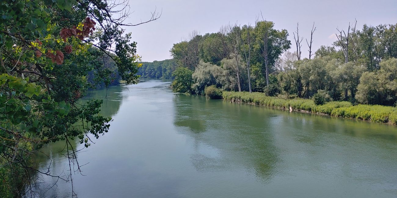 Isar