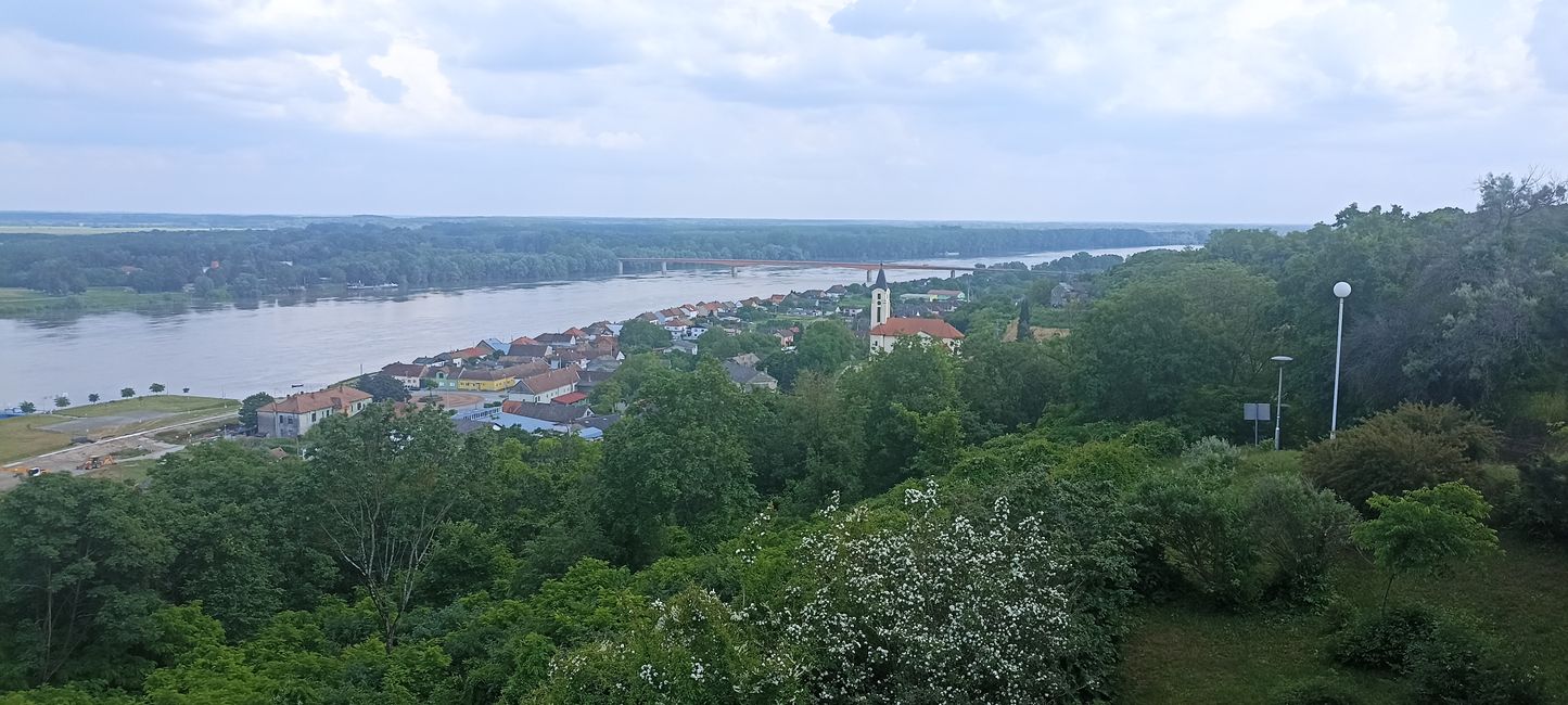 Donau - hier Grenzfluss zwischen Kroatien und Serbien 