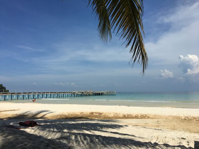 Coconut beach, home for 5 days 😍
