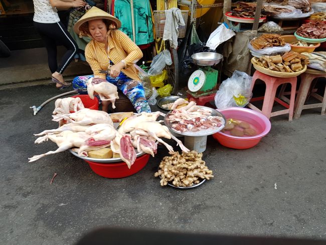 Ho Chi Minh City - ordered chaos on the streets - and the Mekong Delta