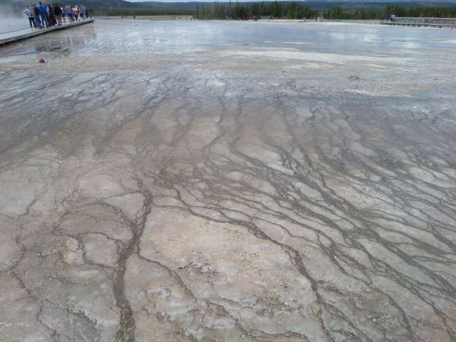Parco Nazionale Yellowstone