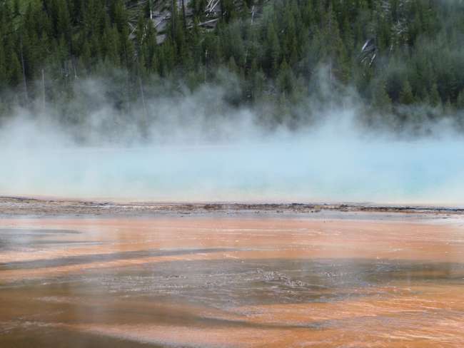 Parco Nazionale Yellowstone