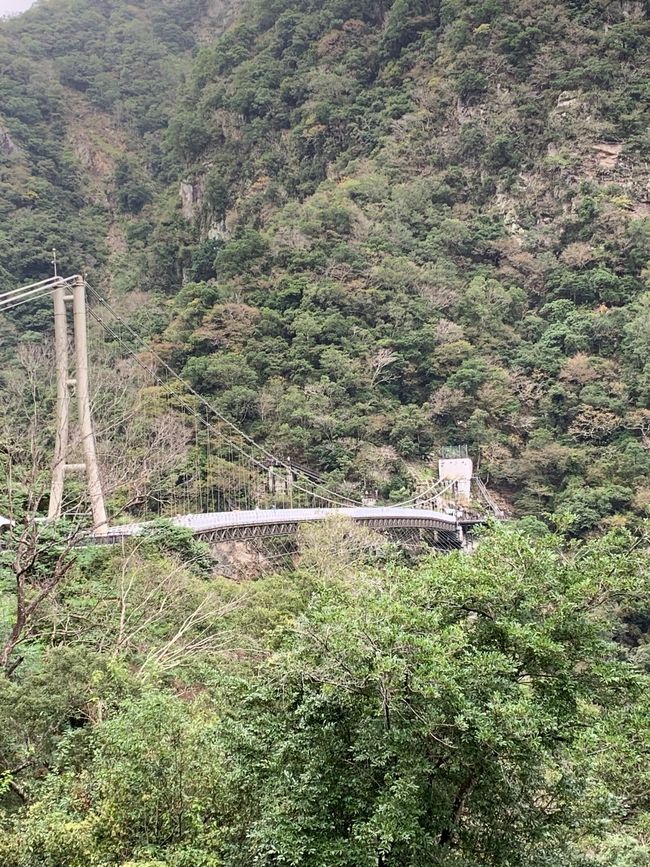   Suspension Bridge