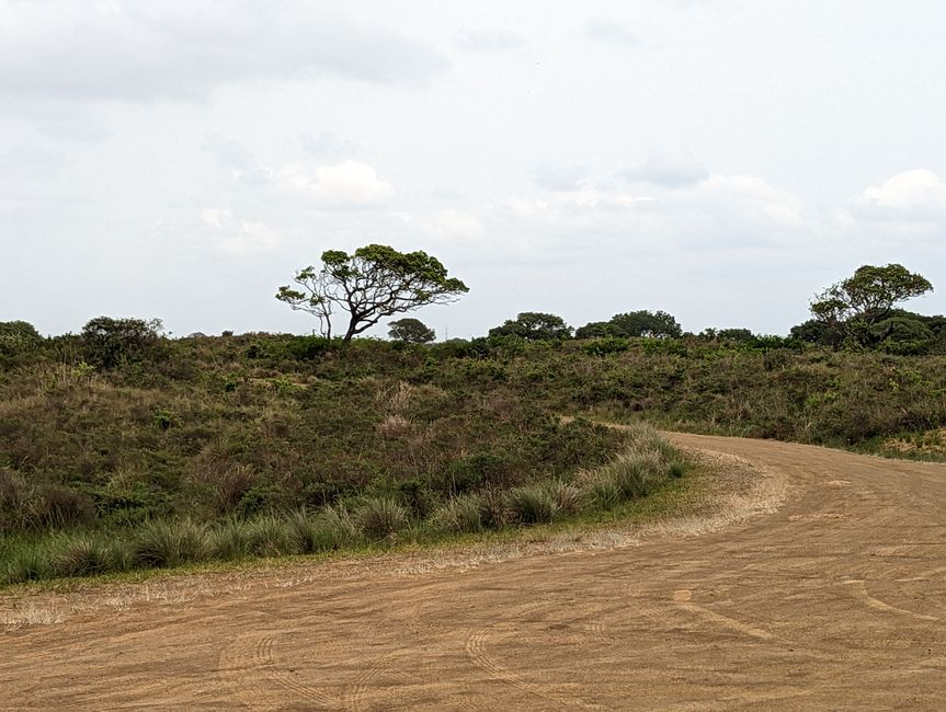 Parc marin d'iSimangaliso