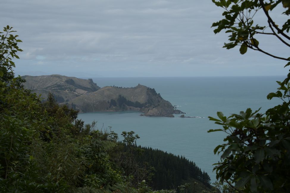 Eastern side of the Marlborough Sounds