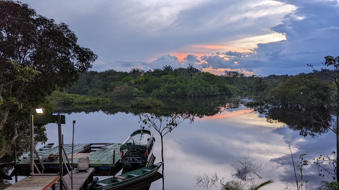 2. Día en la selva amazónica