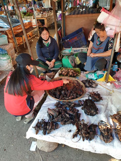 Jungle meat at the market (rats, bats, etc.)