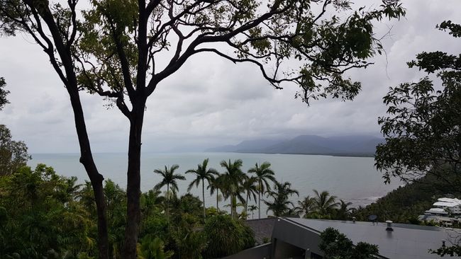 Day 44: Port Douglas - Cairns