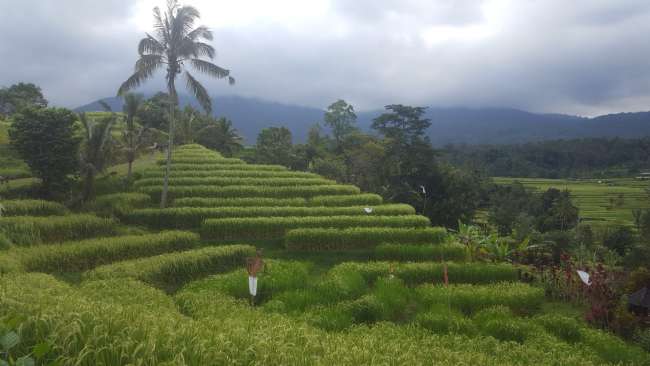 Wunderschönes Bali