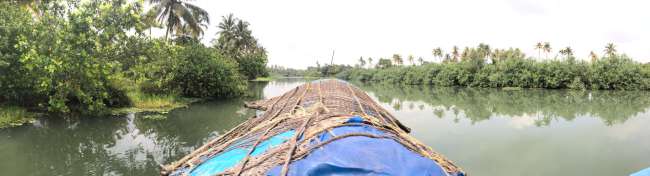 Backwaters in Kochi
