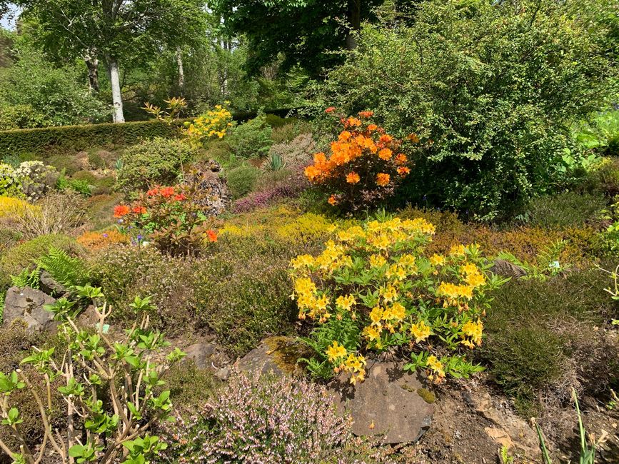 Dunvegan Castle Garden