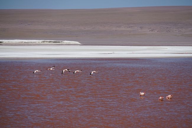 Atacama desertum et Uyuni lacus