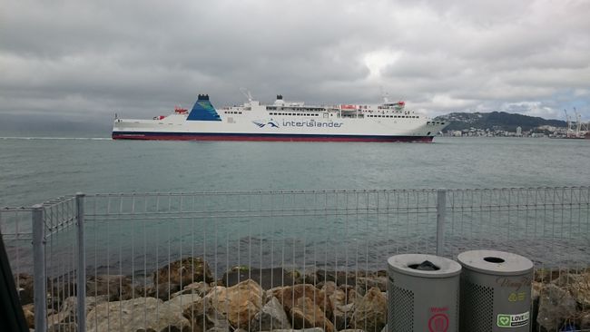 We are taking this ferry to the South Island 