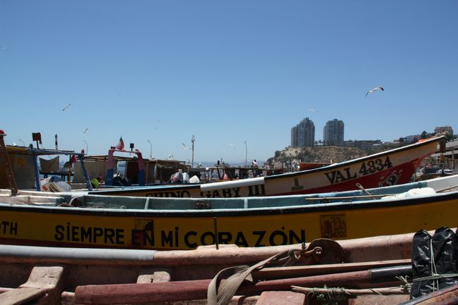 Excursión del sábado