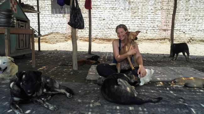 Gangster in Lima und Hundezufluchtsort in Huanchaco