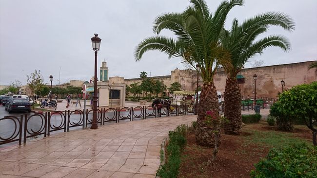 Tag 59 Meknes -Marrakesch Wiederholungstaeter