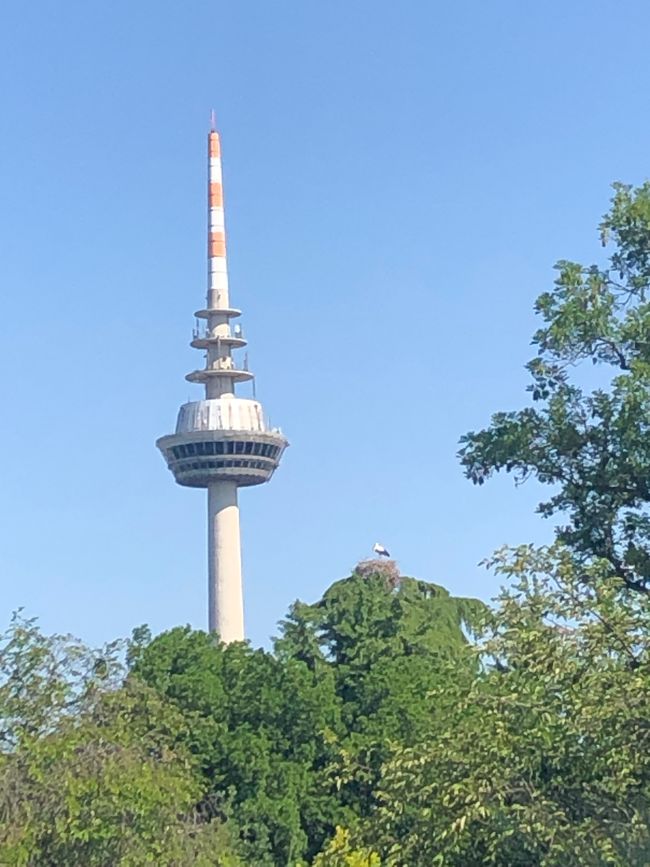 The TV tower with a stork's nest