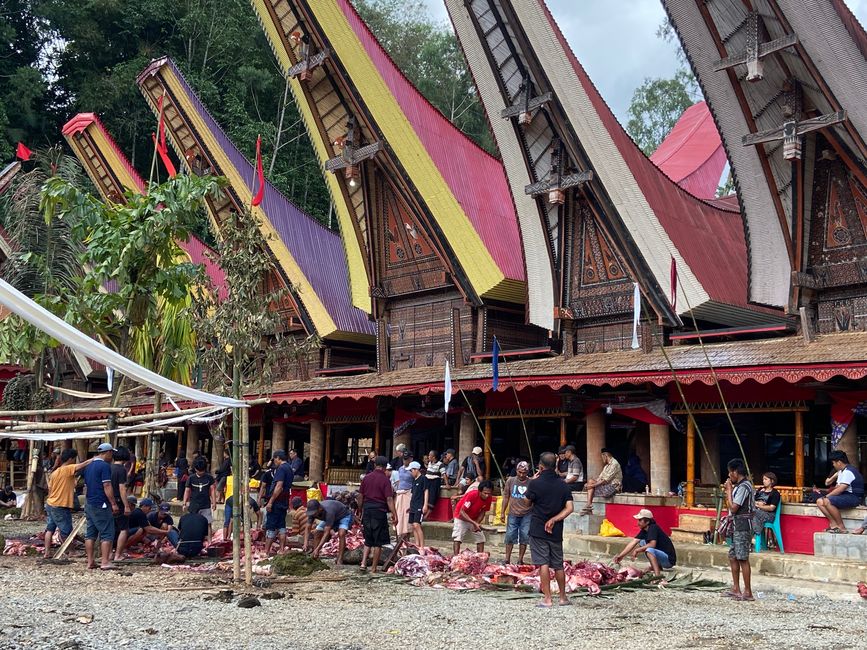 Sulawesi – Wspaniałe krajobrazy i starożytne kultury