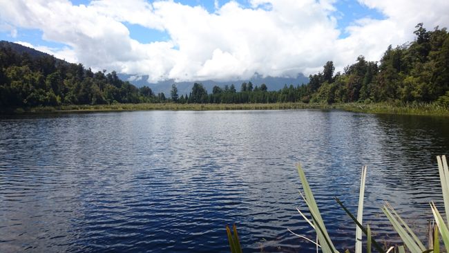 Lake Matheson on a day with less than ideal weather conditions 
