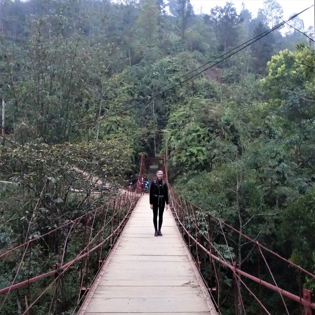 Bridge reminiscent of the Jungle Camp