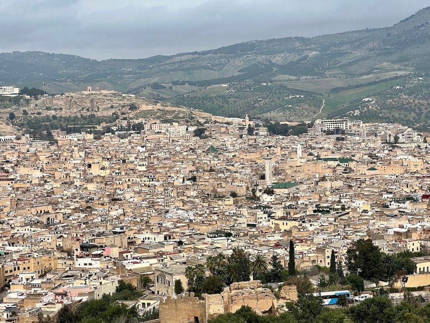 A magnificent view of the Medina of Fes. (Photo: Birgit)