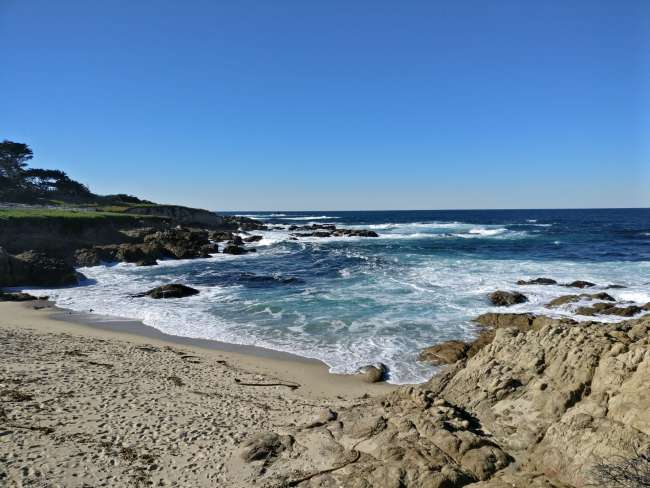 17 Mile Drive in Monterey 6