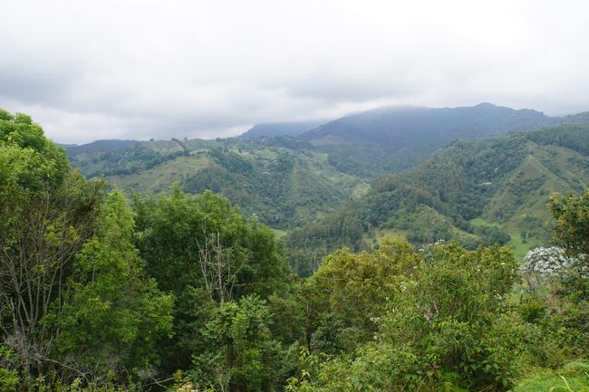 In the coffee triangle of Colombia - Salento