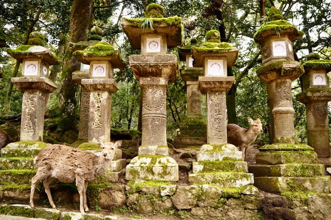 Shrine in Arashiyama