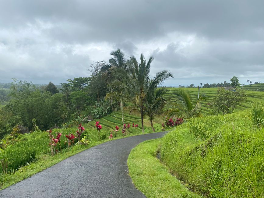 Northern Bali