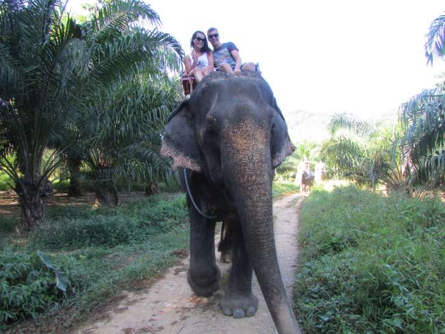 Elephant trekking, Khao Sok