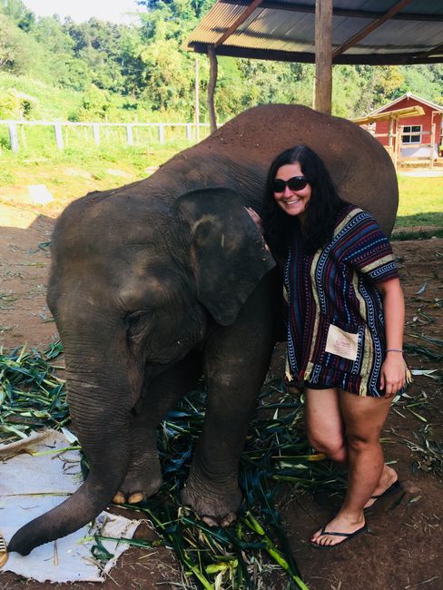 Elephant Jungle Sanctuary, Chiang Mai
