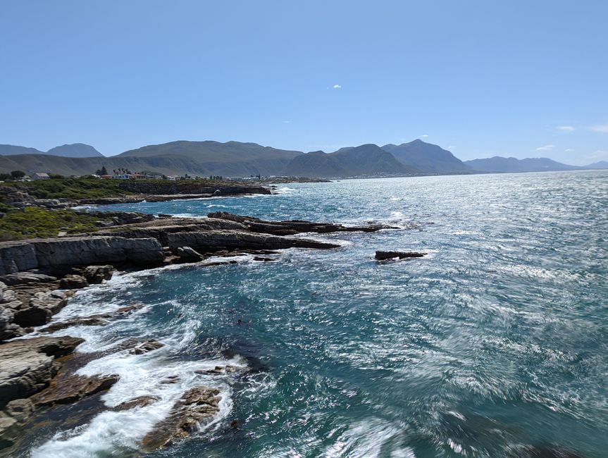 Hermanus