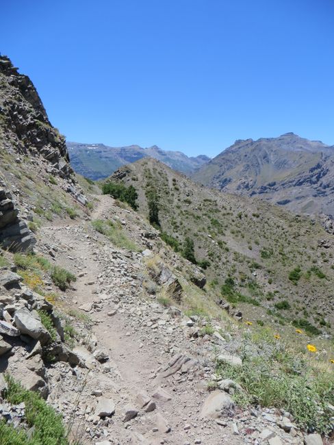 5 Tage-Tour im Parque "Altos de Lircay"
