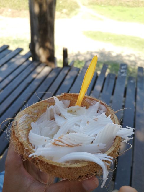 Beschdes Kokoseis