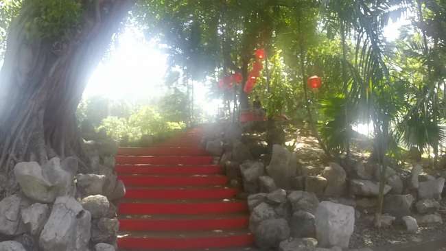 Path to Taal Volcano