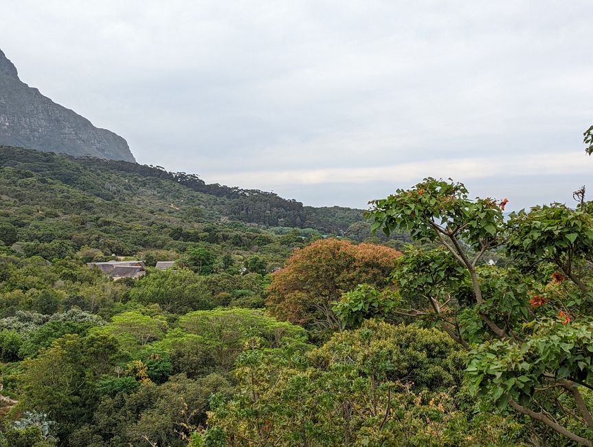 Kapstadt/Cape Town