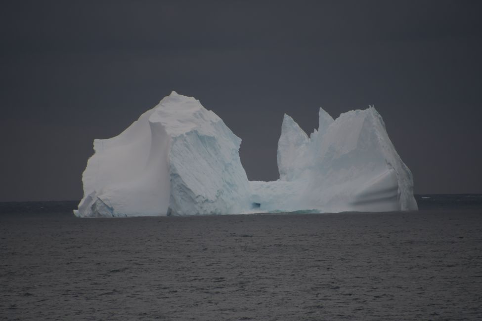 Iceberg