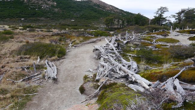 Parque Nacional Los Glaciares: frustracija planinarenja i ledenjak koji se teli