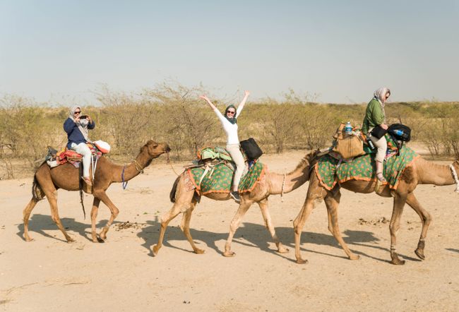 Wüsten-Kamel-Safari