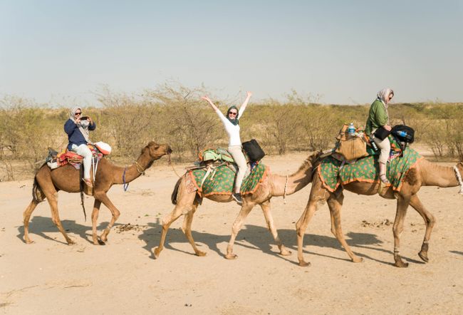 Safari en camello en el desierto