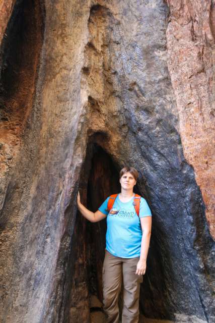Day 16: Sequoia National Park